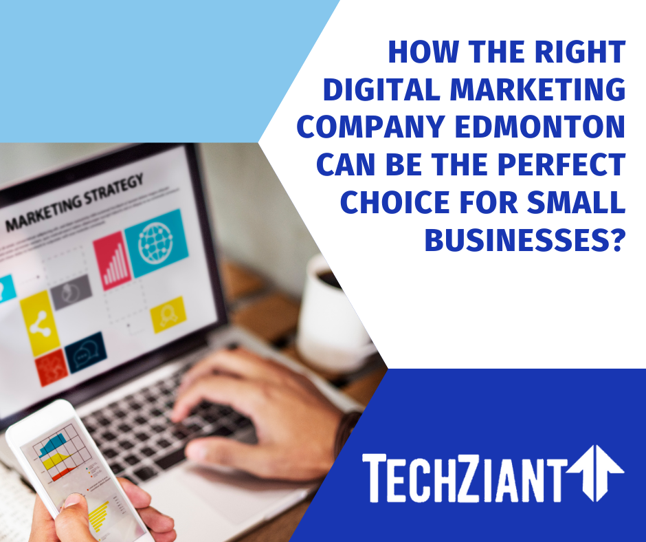 How The Right Digital Marketing Company Edmonton Can Be The Perfect Choice For Small Businesses?